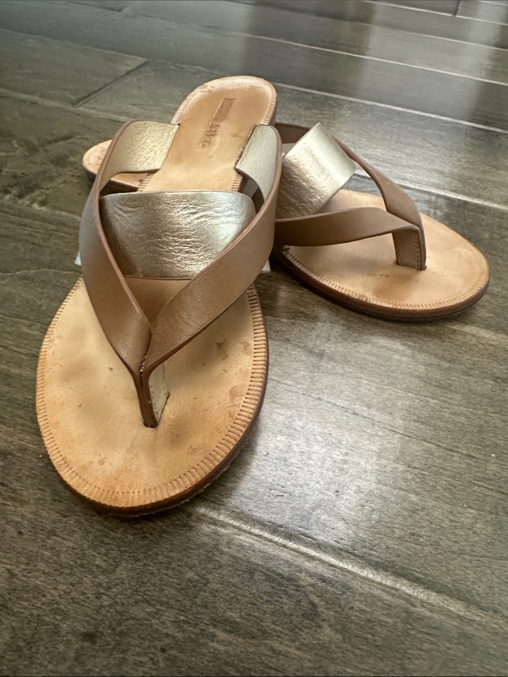 Matiko Metallic Silver and Tan Leather Thong Sandals